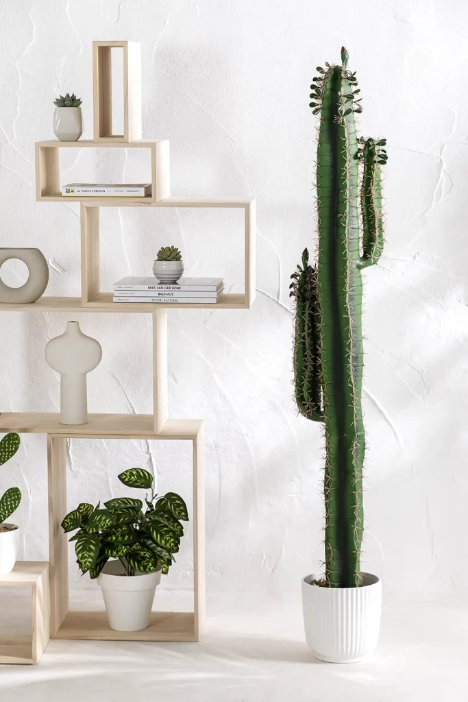 Décorer le salon avec le cactus artificiel Cereus