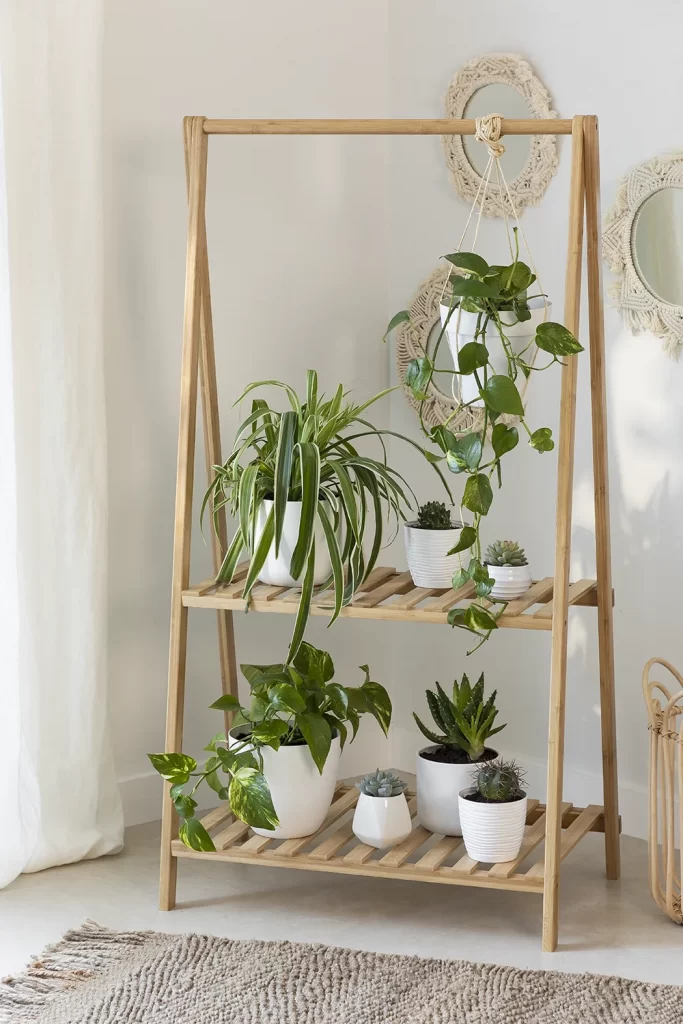 Salon décoré avec étagères pour plantes