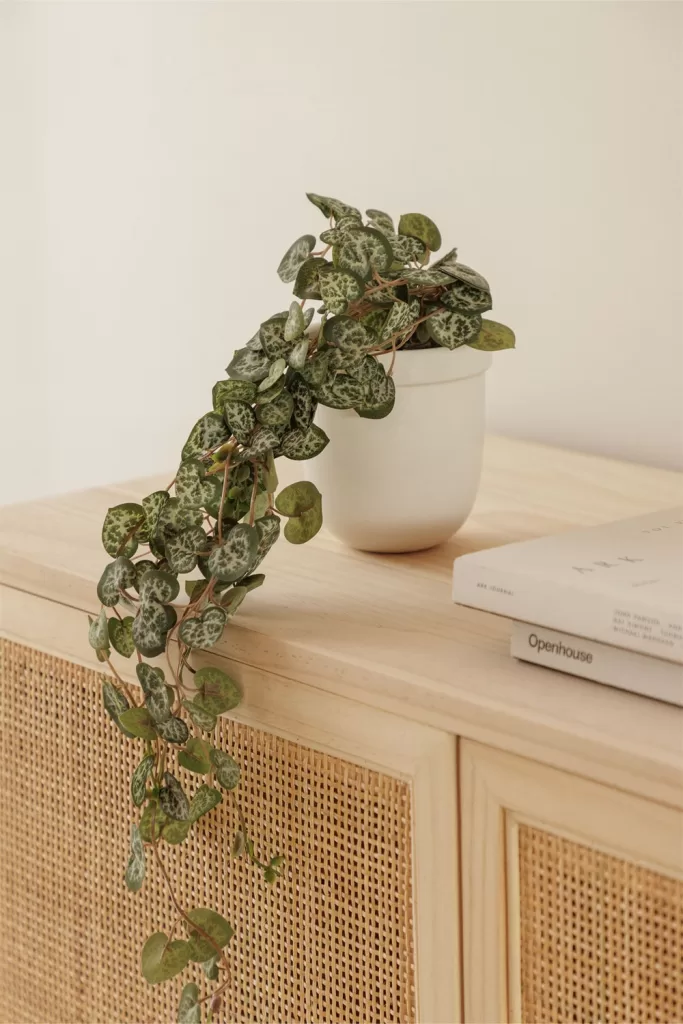 Una planta colgante artificial con hojas en forma de corazones con tonos verdes y matices blancos