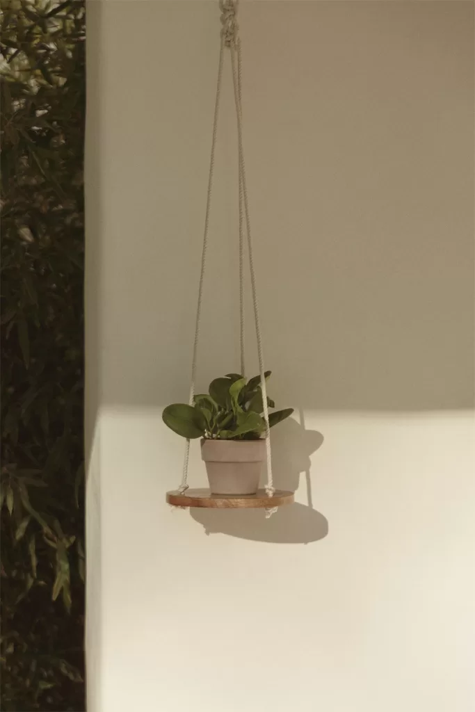 Macetero colgante de cuerda con base de madera y planta en maceta de cerámica, perfecto para decoración minimalista en jardines o terrazas.