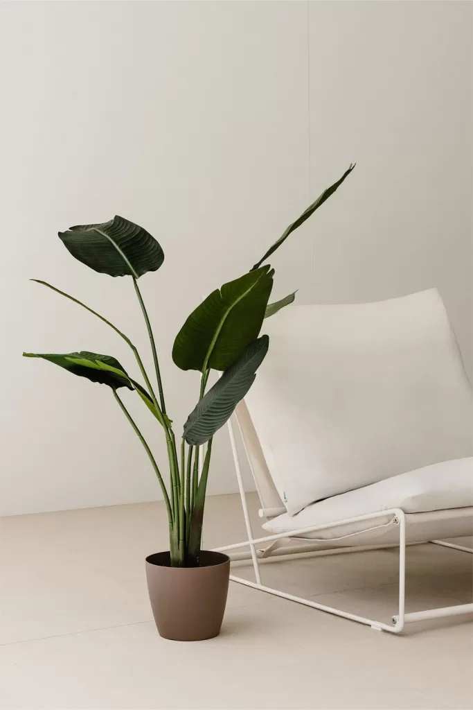 Planta artificial decorativa de hojas verdes en maceta marrón junto a un sillón de jardín blanco, ideal para decoración interior y exterior.